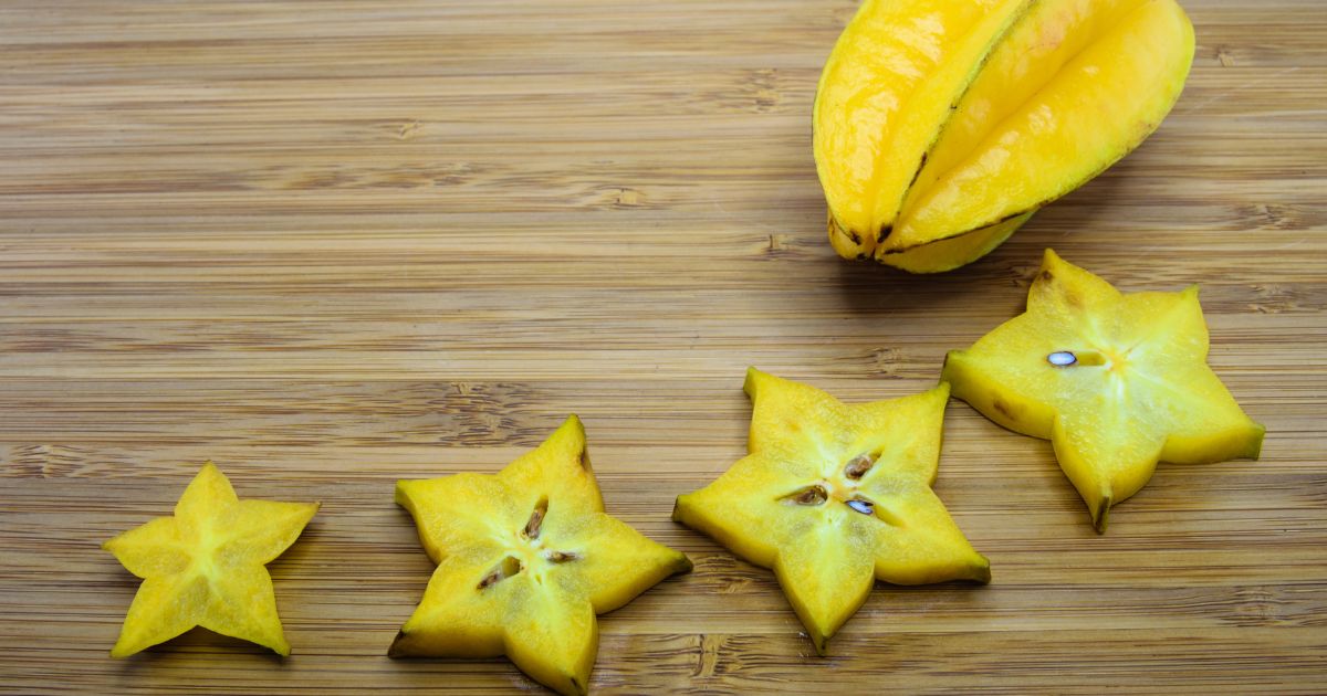 スターフルーツ 接木苗 開花中 五斂子（ごれんし）大実品種 スターフルーツ 接木苗 開花中 五斂子（ごれんし）大実品種 スター