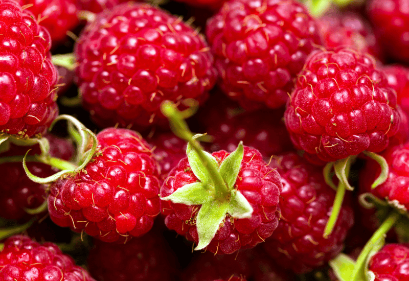 木苺・キイチゴ ゴショイチゴ 【公式通販】