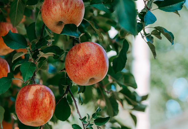 1_72743597-5a9c-4ea6-b17d-