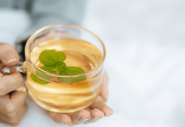 ★中国語 / 排毒・デトックス 美容茶・ハーブティー 楽天市場】デトックスハーブティー 10袋入りキャンドルブッシュ