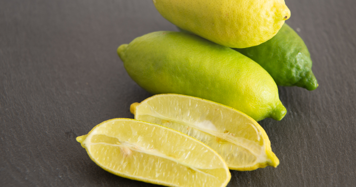 フィンガーライム：魅惑の柑橘、その宝石のような輝きと食感