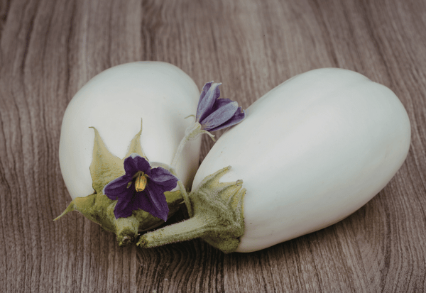 白なす完全ガイド】特徴・栄養・紫なすとの違いまで徹底解説！