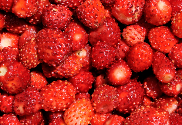 1_b294a0cc-d284-4418-843a-