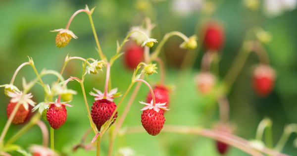 1_b2bd8bac-3a79-4f21-9d6e-