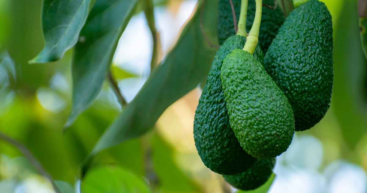 1_bd58f71d-4b94-42af-8c51-