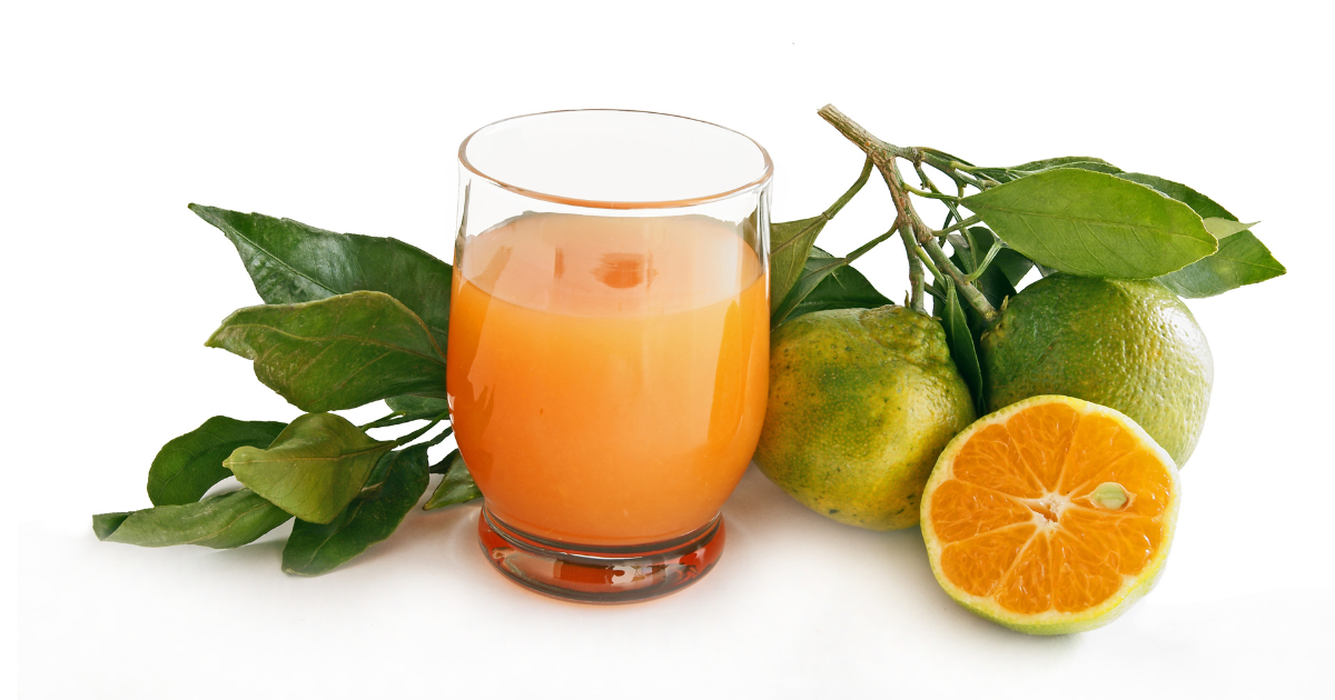 宮川早生みかん：家庭菜園初心者にもおすすめ！育てやすさと濃厚な味わいの