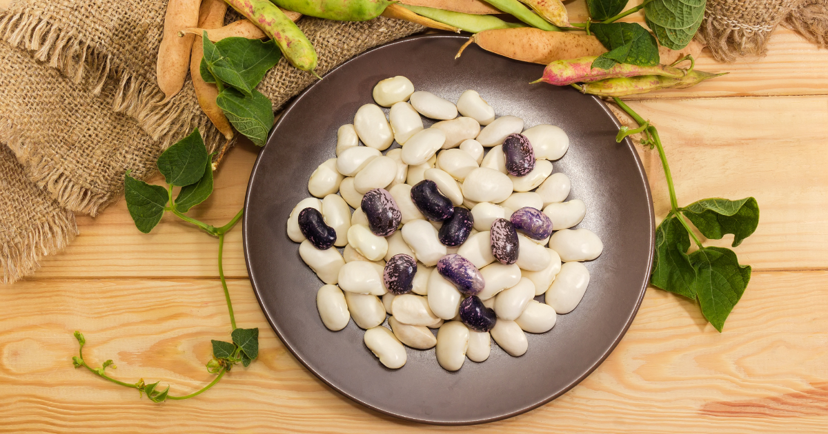 花豆（紫花豆・白花豆）の魅力：特徴、栄養、戻し方、絶品甘煮レシピ