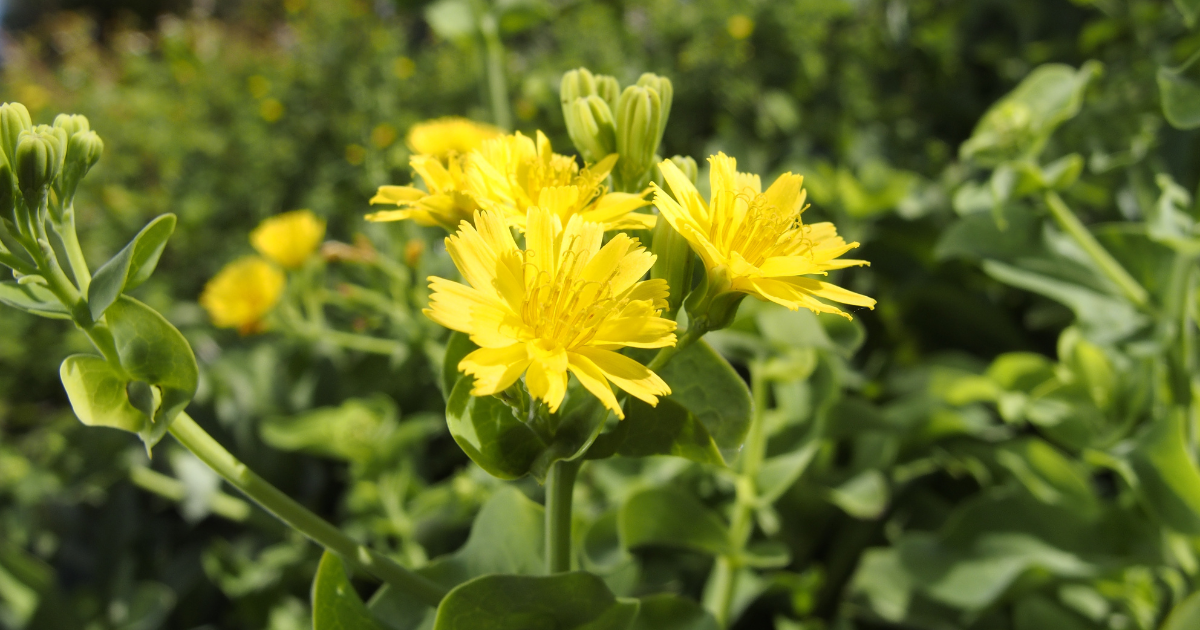 1_f787a5bb-fbff-42dc-8c29-