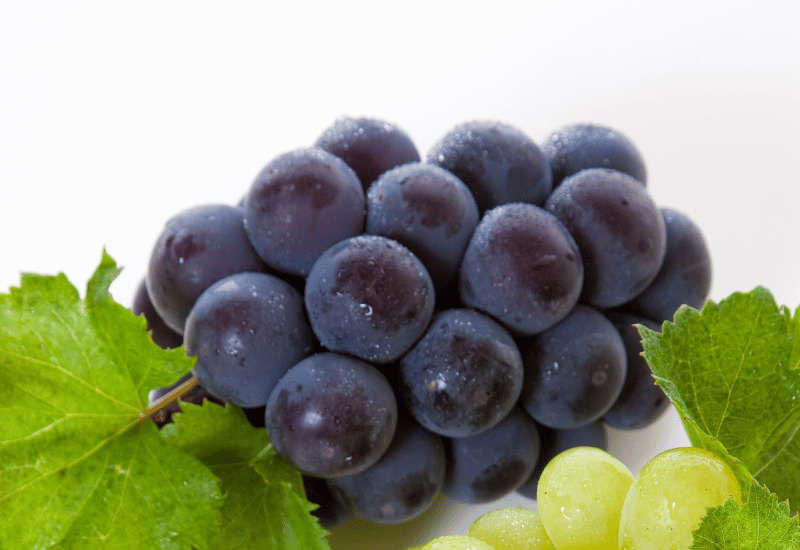 葡萄 縁起物 高級調度品 葡萄 縁起物 高級調度品 高級ぶどう化粧箱 OT-F4 葡萄 ワイン