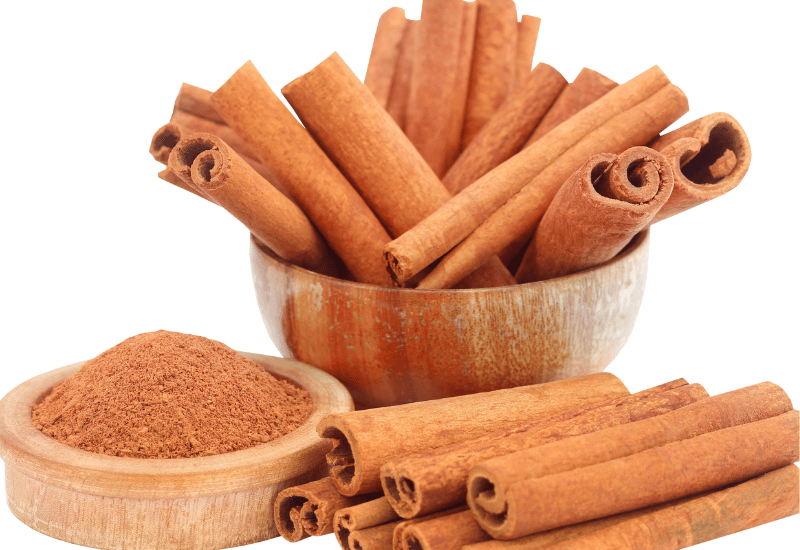 ニッキとシナモンの魅力を再発見しよう