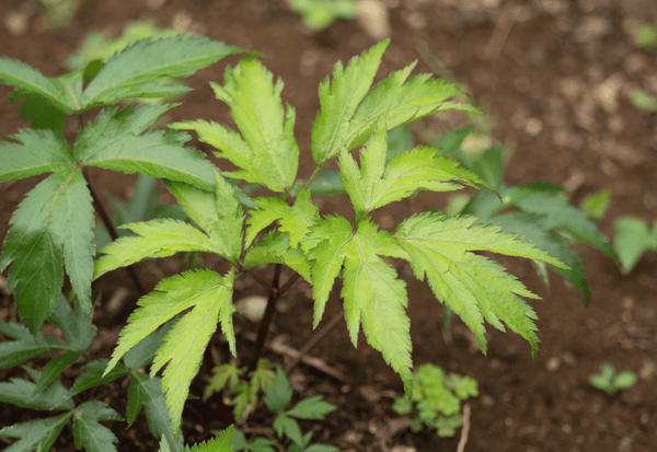 2_a83e911f-5b7d-4305-8053-