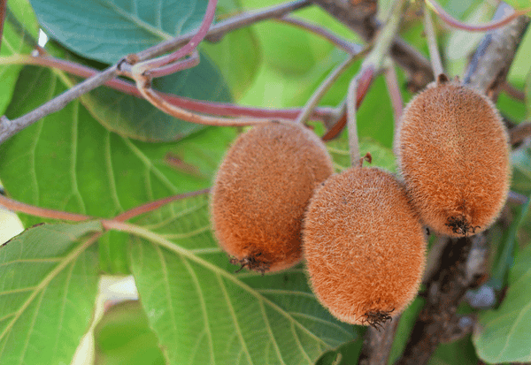 3_850ad9f4-82a5-4788-9c3a-