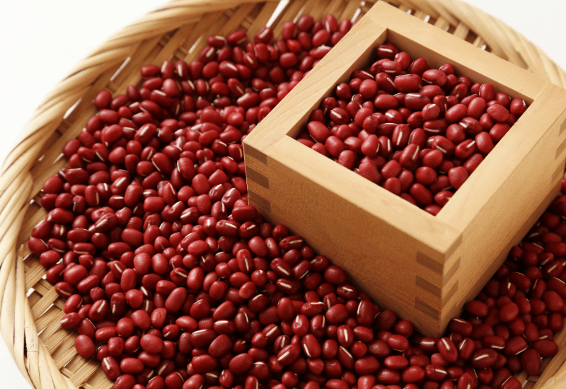 大豆 九州産大豆100% 成分無調整豆乳(200ml×24本): 博多うまか