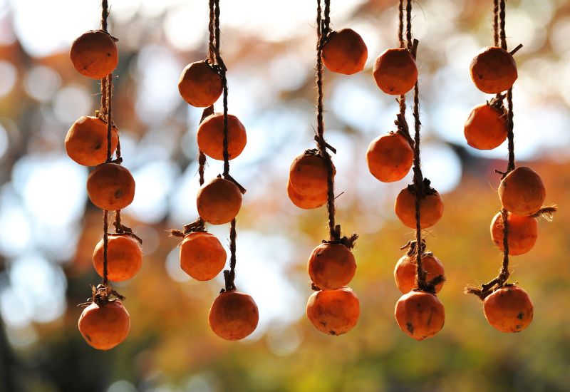 干し柿用 柿のれん 柿クリップ 1ロール 中〜大玉用 柿クリップA型