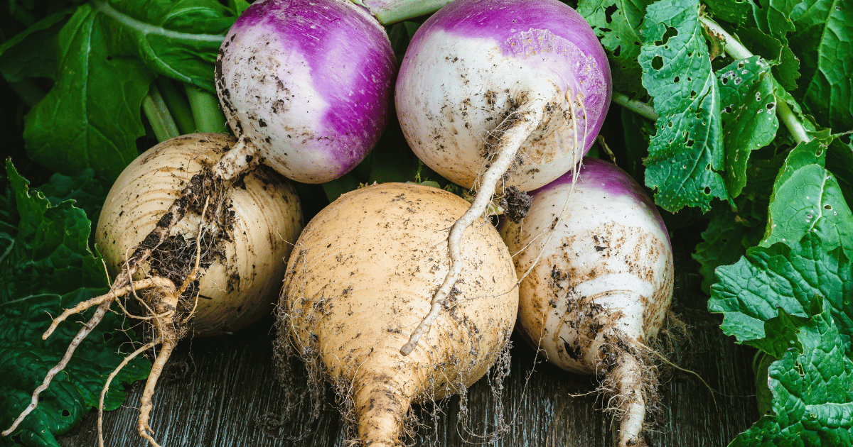 旬のかぶを簡単レシピで！人気料理家が教える、とろける甘さの