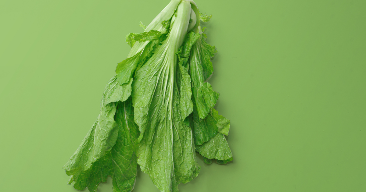かつお菜とは？福岡の伝統野菜「勝男菜」の特徴、旬、栄養、美味しい食べ