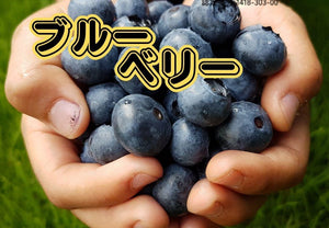 【冷蔵】完熟ブルーベリー(有機JAS認定) | ブルーベリー | ブルブルファーム20 - スイーツモール