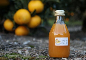 【常温】しぼりたて柑橘ジュース 各種|ジュース|浦虎みかん農園 - スイーツモール