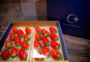 【冷蔵】苺ギフト 栃木県真岡市産とちおとめ|いちご|つきのいちごえん - スイーツモール