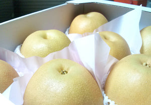 【冷蔵】幸水・豊水 | 梨 | マルハチ安野農園