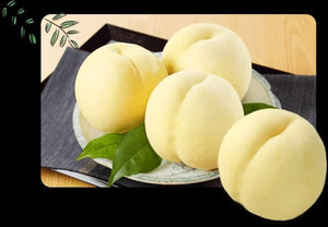 岡山白桃 贈答用 | 桃 | 株式会社赤木農園