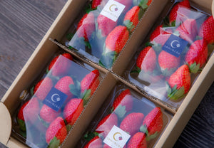 【冷蔵】栃木県真岡市産とちおとめ 250g×4パックセット |いちご|つきのいちごえん - スイーツモール