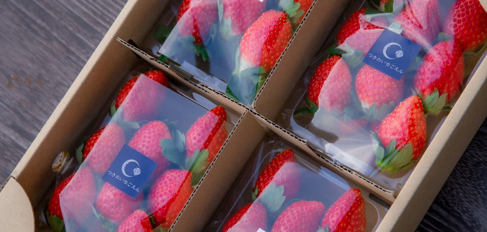 【冷蔵】栃木県真岡市産とちおとめ 250g×4パックセット |いちご|つきのいちごえん - スイーツモール