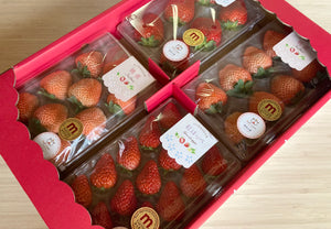 【冷蔵】レア品種『桃薫』2パック入りセット | いちご | Agri charm