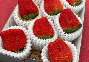 【冷蔵】紅ほっぺ | いちご | 河南いちご農場