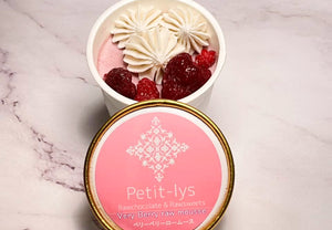 【冷凍】Rawムース ヴィーガンスイーツ | アイス | Petit-lys