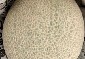 【常温】アールスメロン | フルーツ | Ripifarm(リピファーム)