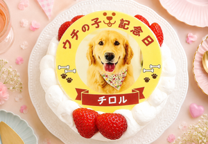 ポップアップわんこ・にゃんこ写真ケーキ | ケーキ | サプライズケーキ専門店 菓の香