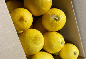 【常温】国産レモン|レモン|浦虎みかん農園 - スイーツモール