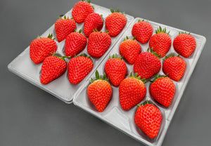 【冷蔵】厳選2品種食べ比べセット|いちご|ITADAKI FARM OGORI - スイーツモール