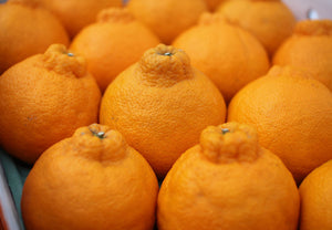 【常温】5代目デコ デコポン | みかん | 株式会社オレンジヒルズ 松本農園