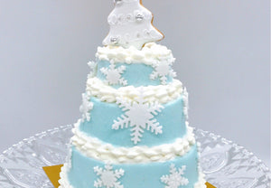 【冷凍】クリスマスファンタジー|ケーキ|予約専門菓子店Daisy|デイジイ クリスマス ケーキ