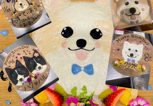 Product Image-0