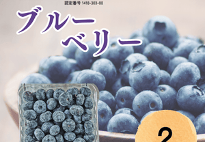 【冷凍】ブルーベリー (有機JAS認定) | ブルーベリー | ブルブルファーム20 - スイーツモール