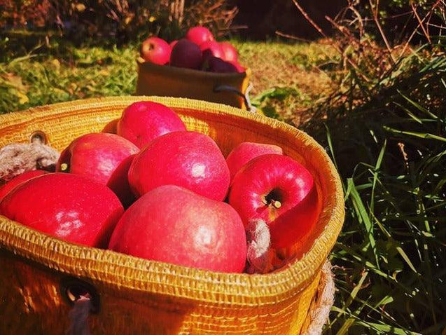 【常温】りんごジュース|ジュース|マルカメ果樹園 - スイーツモール