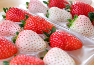 【冷蔵】紅白いちご食べ比べセット|いちご|ITADAKI FARM OGORI - スイーツモール