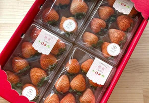 【冷蔵】レア品種『桃薫』セット | いちご | Agri charm - スイーツモール