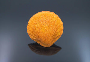 【冷蔵】ピスタチオ マドレーヌ、メープルフィナンシェ 各3個 | ピスタチオ 焼き 菓子 セット・ピスタチオ ギフト・ピスタチオ 通販・ピスタチオスイーツ・ピスタチオお菓子 | シュクルエピス(Sucre Epice ) - スイーツモール