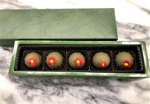 【冷凍】サボテンチョコレート 5粒入 | チョコレート | パンプルムース(PAMPLEMOUSSE) - スイーツモール