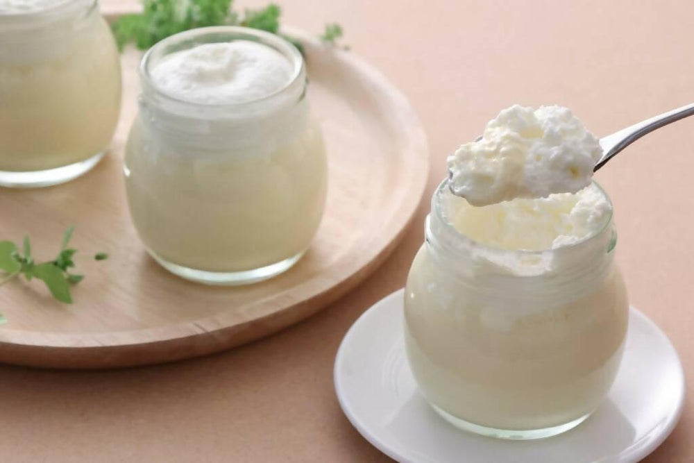 【冷凍】チーズ甘酒プリン|プリン|Kouji&ko - スイーツモール