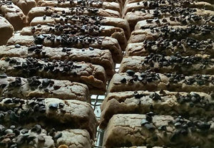 【常温】ヴィーガンショートブレッドバー 20本入り|焼き菓子|てんねんや - スイーツモール