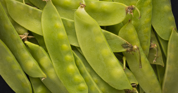 さやえんどうの栄養と健康効果：旬の美味しさを最大限に活かすレシピと保存方法