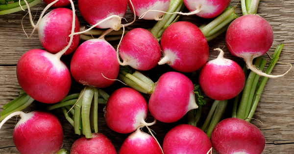 ラディッシュの葉っぱを徹底解説！栄養満点、捨てずに美味しく使い切るレシピ集