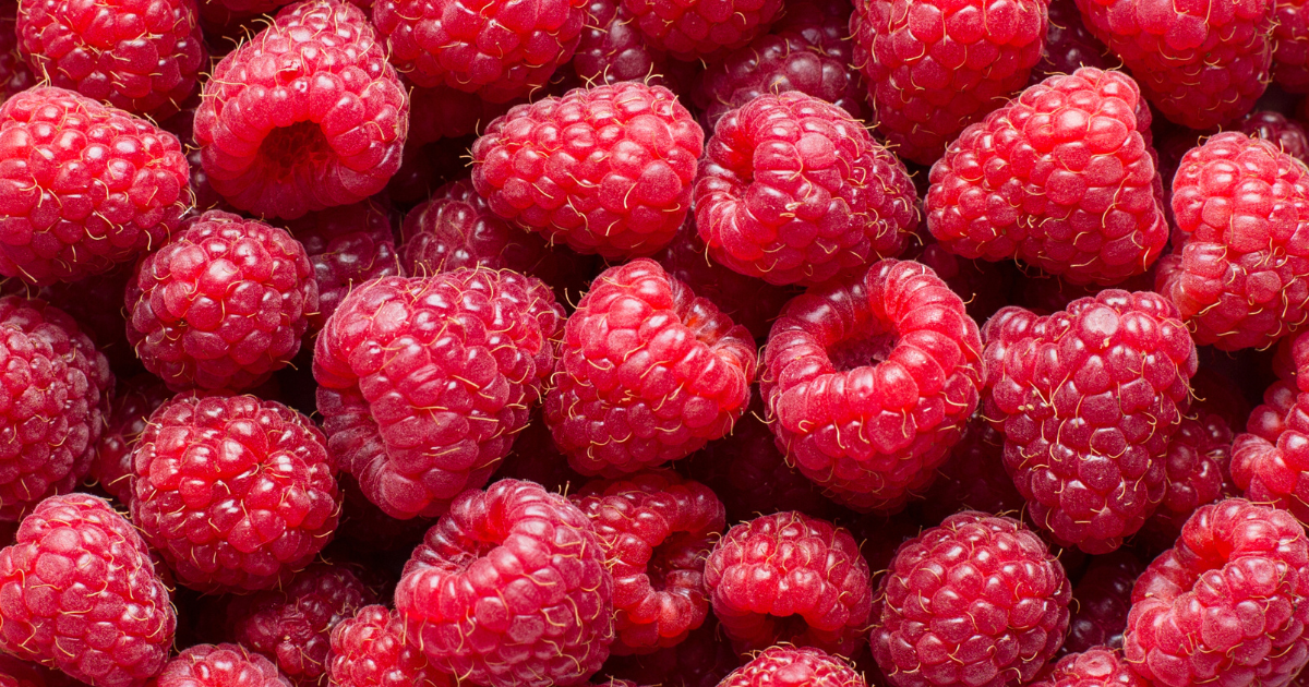 ラズベリーと木苺：甘酸っぱい魅力と多様な世界