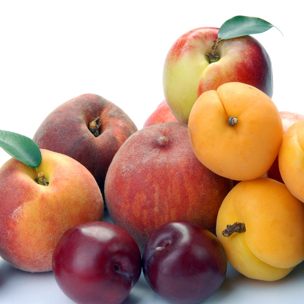 あんずとすももの違いを徹底解説！特徴、見分け方、栄養素まで