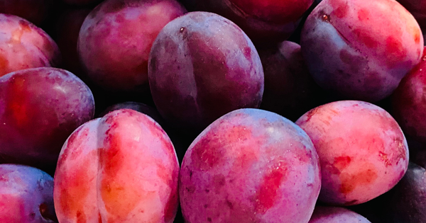 プラムを長持ちさせる保存方法｜常温・冷蔵・冷凍のコツと活用術